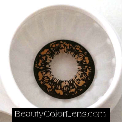 GEO PANSY BROWN WT-C64 BROWN CONTACT LENS