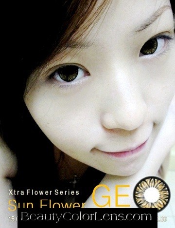 GEO SUNFLOWER WFL-A24 BROWN CONTACT LENS