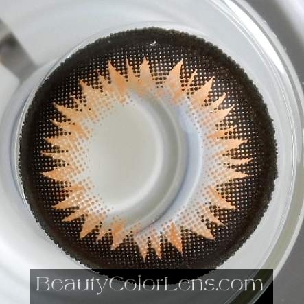GEO XTRA BELLA BROWN WBS-204 BROWN CONTACT LENS