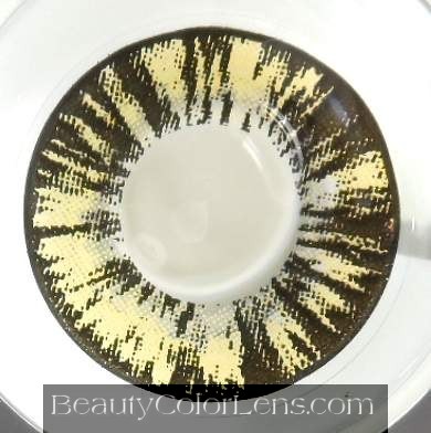 GEO FOREST BROWN WT-B64 BROWN CONTACT LENS