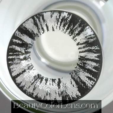 GEO FOREST GRAY WT-B65 GRAY CONTACT LENS