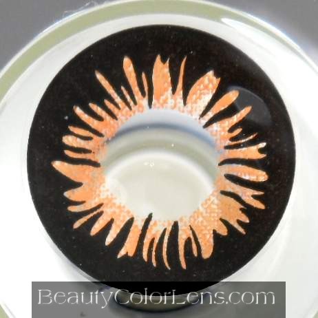 GEO SHERBET BROWN WT-A34 BROWN CONTACT LENS